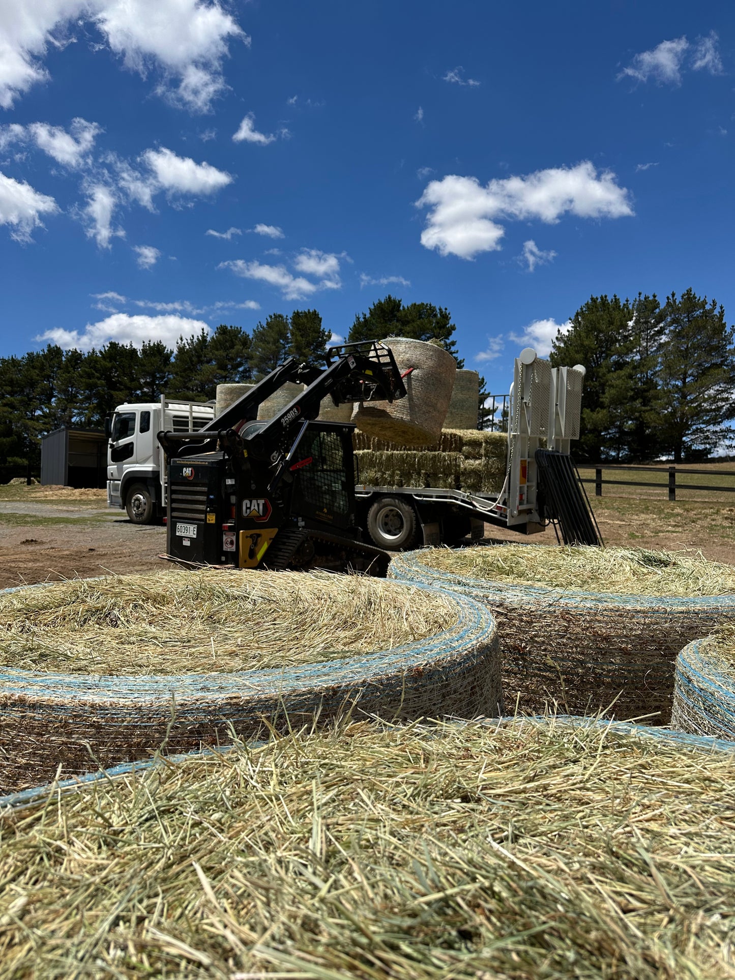 Meadow Hay Round Bales (4 x 4)