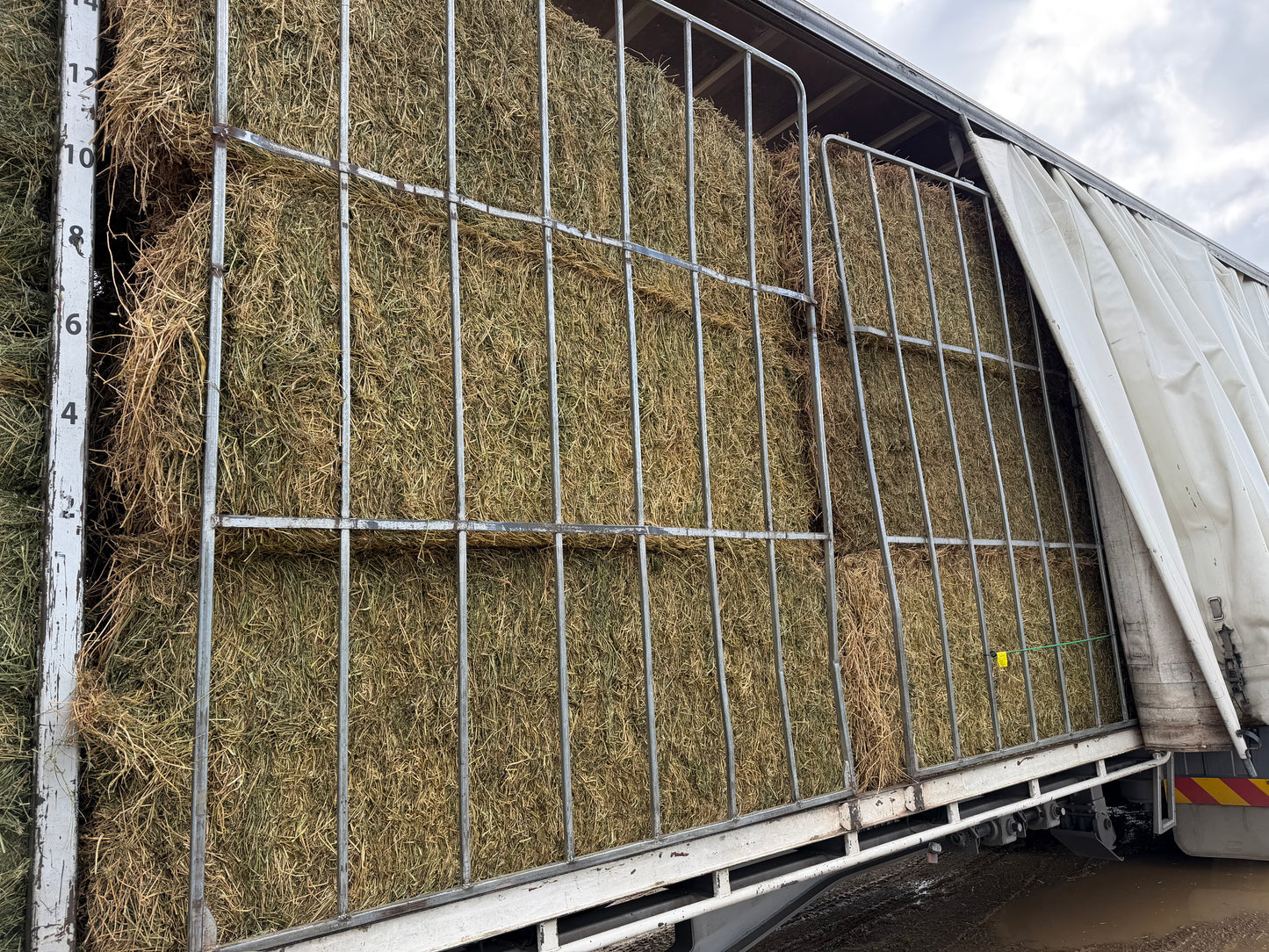 2nd Grade Lucerne 8x3x3 Large Squares Back in Stock