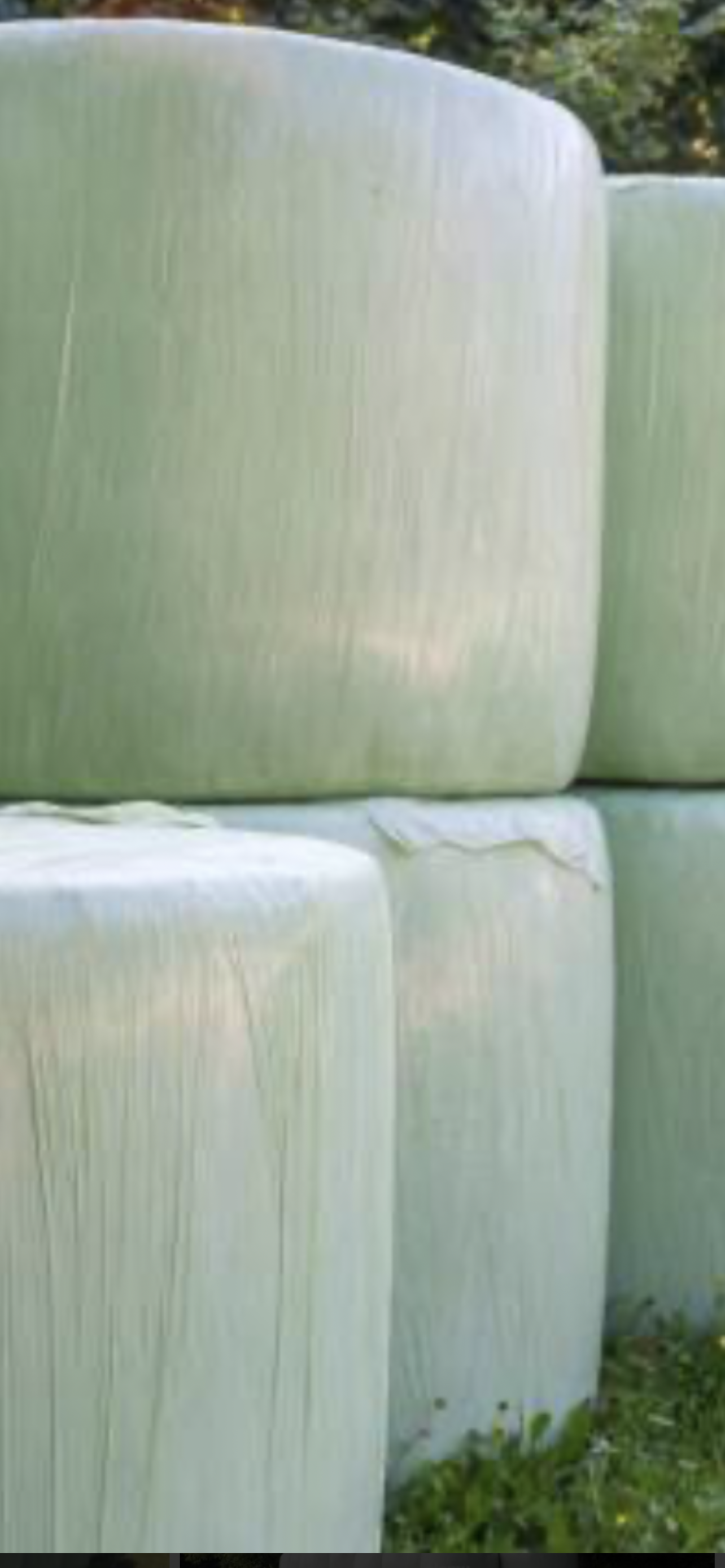 Lucerne Silage Available Now call Belinda to discuss 0439986818