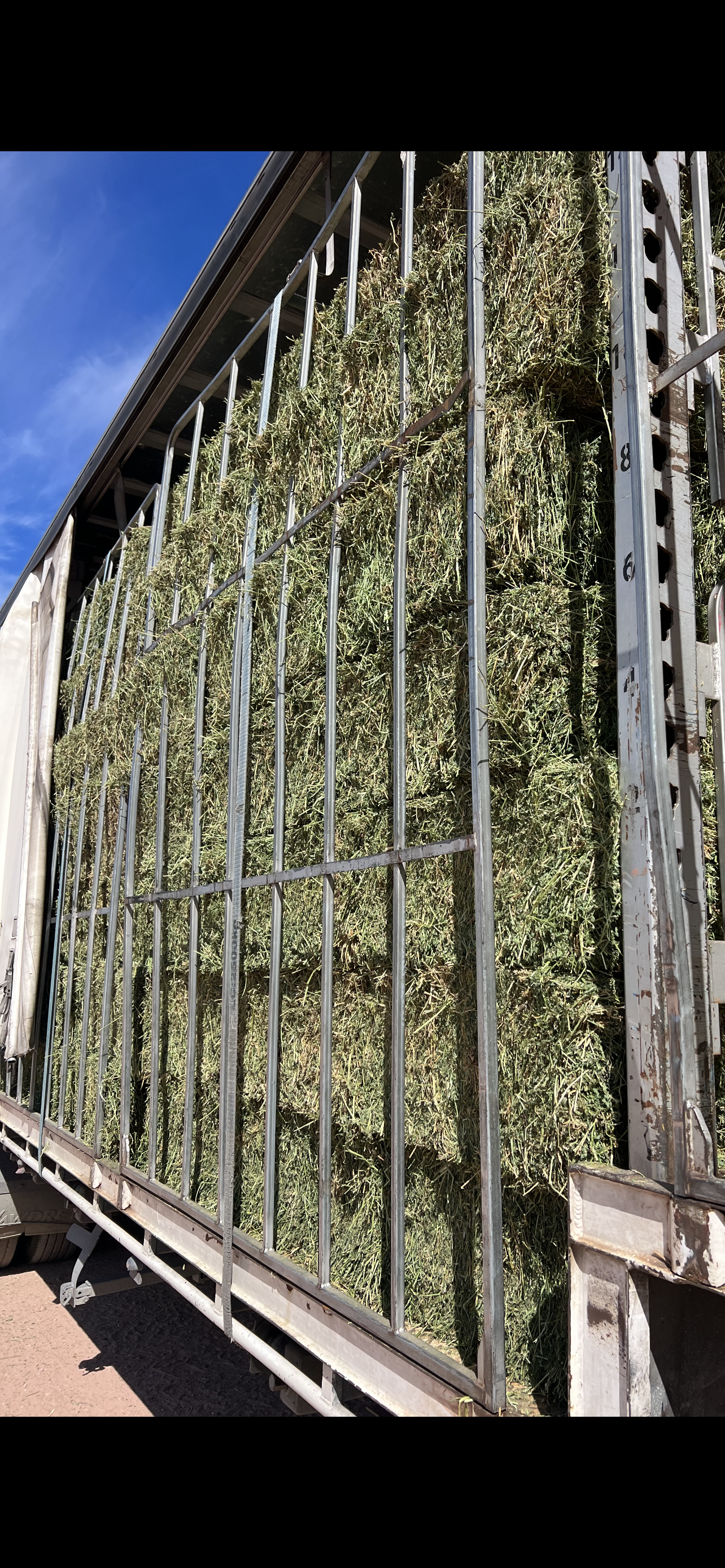 Prime Lucerne Hay