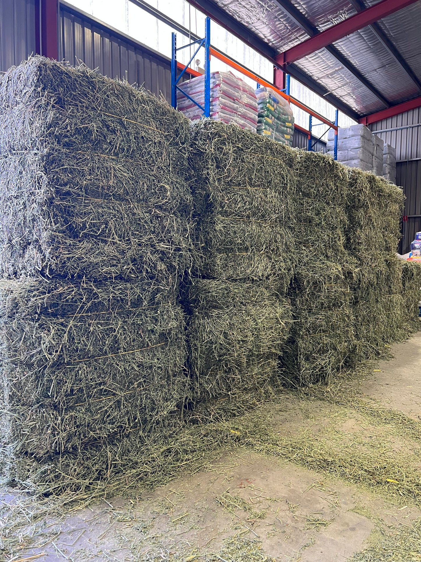 PRIME Lucerne  8x3x3