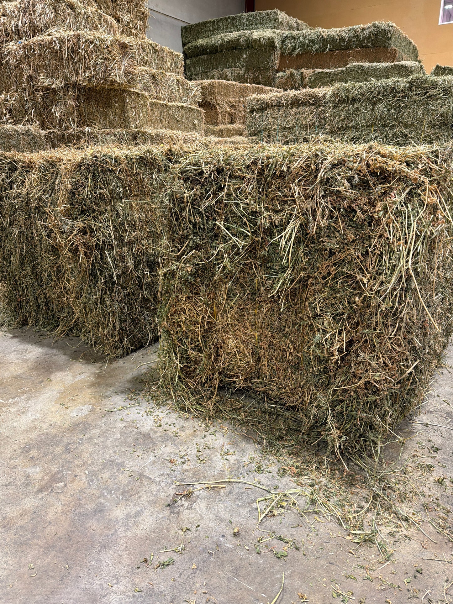Lucerne  8x3x3