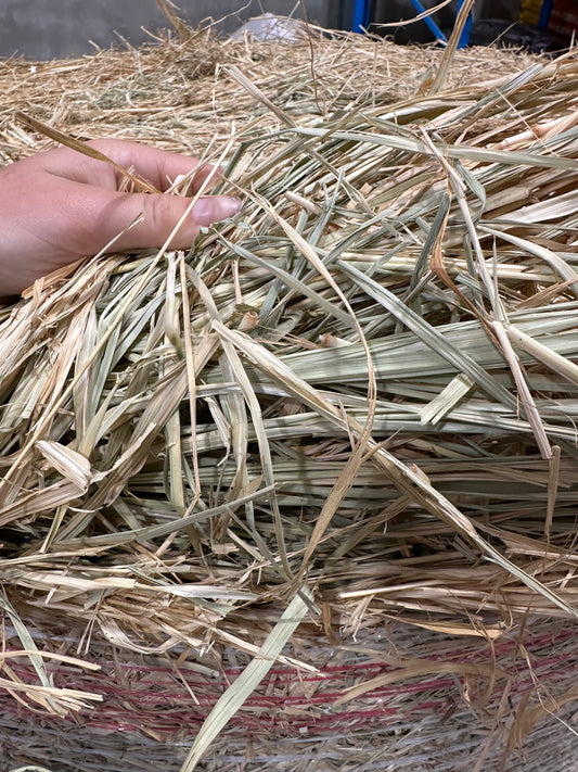 Rhodes round bales 4x4 (delivered)