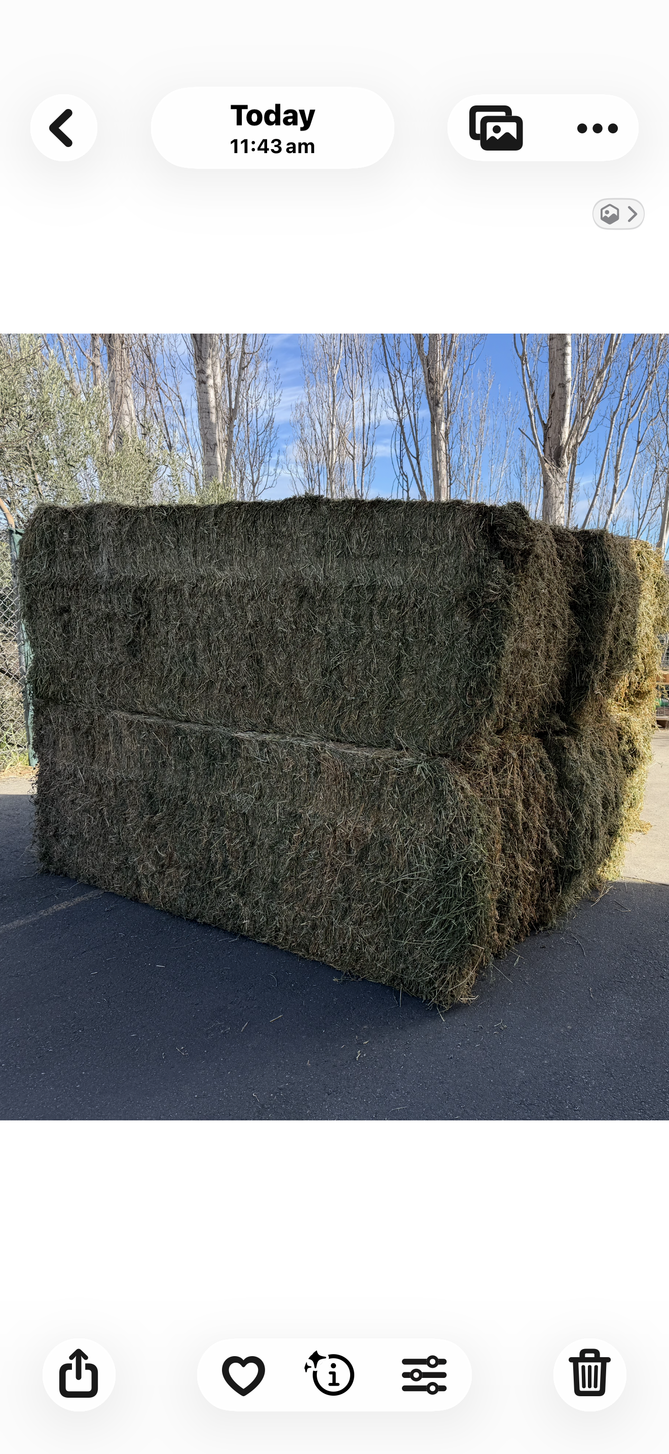 Lucerne  8x3x3