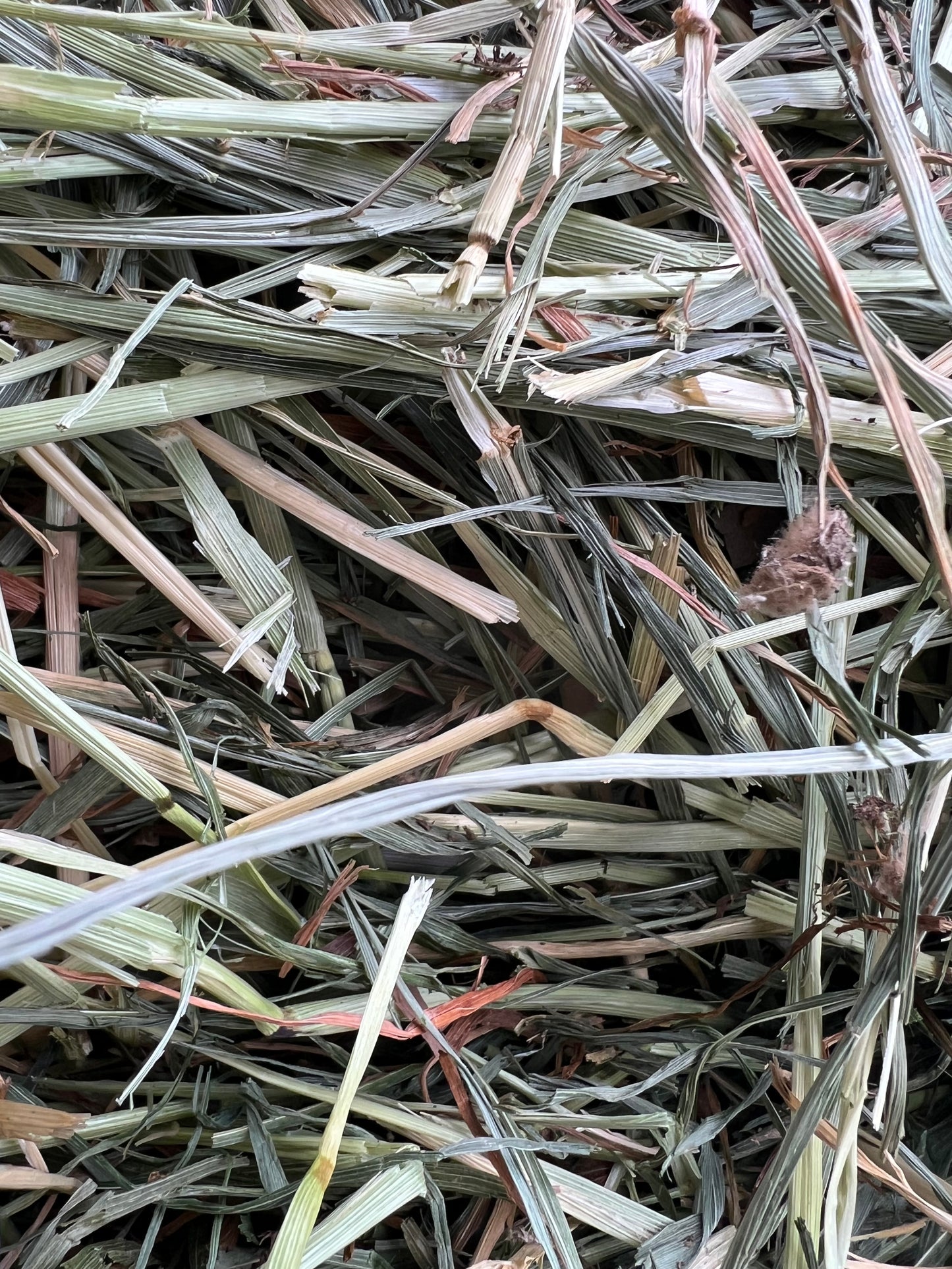 Rye Round Bales 4x4 (New Season)