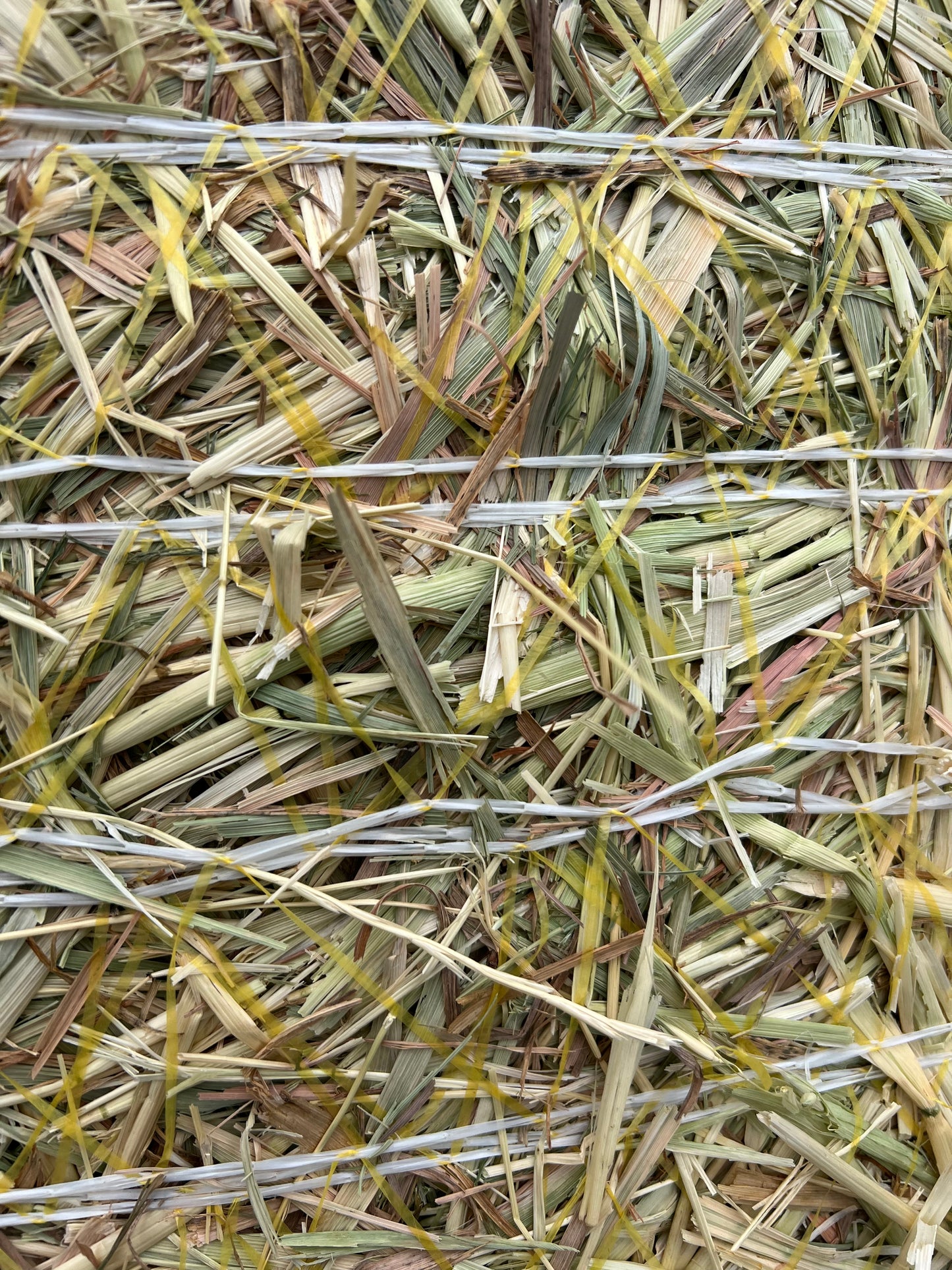 Premium Oaten Round 4x4 (NEW SEASON)