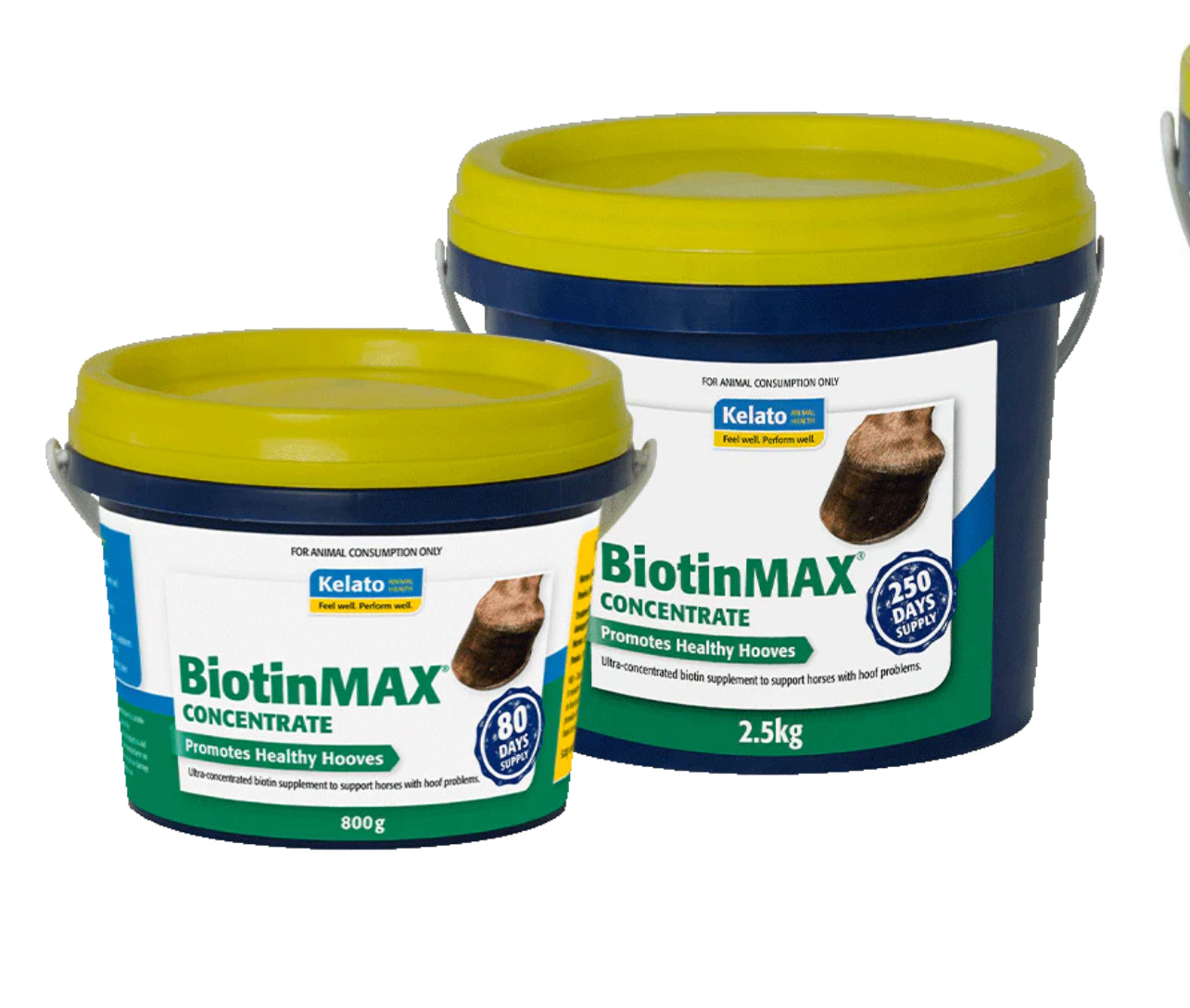 Kelato BiotinMax Concentrate 2.5kg