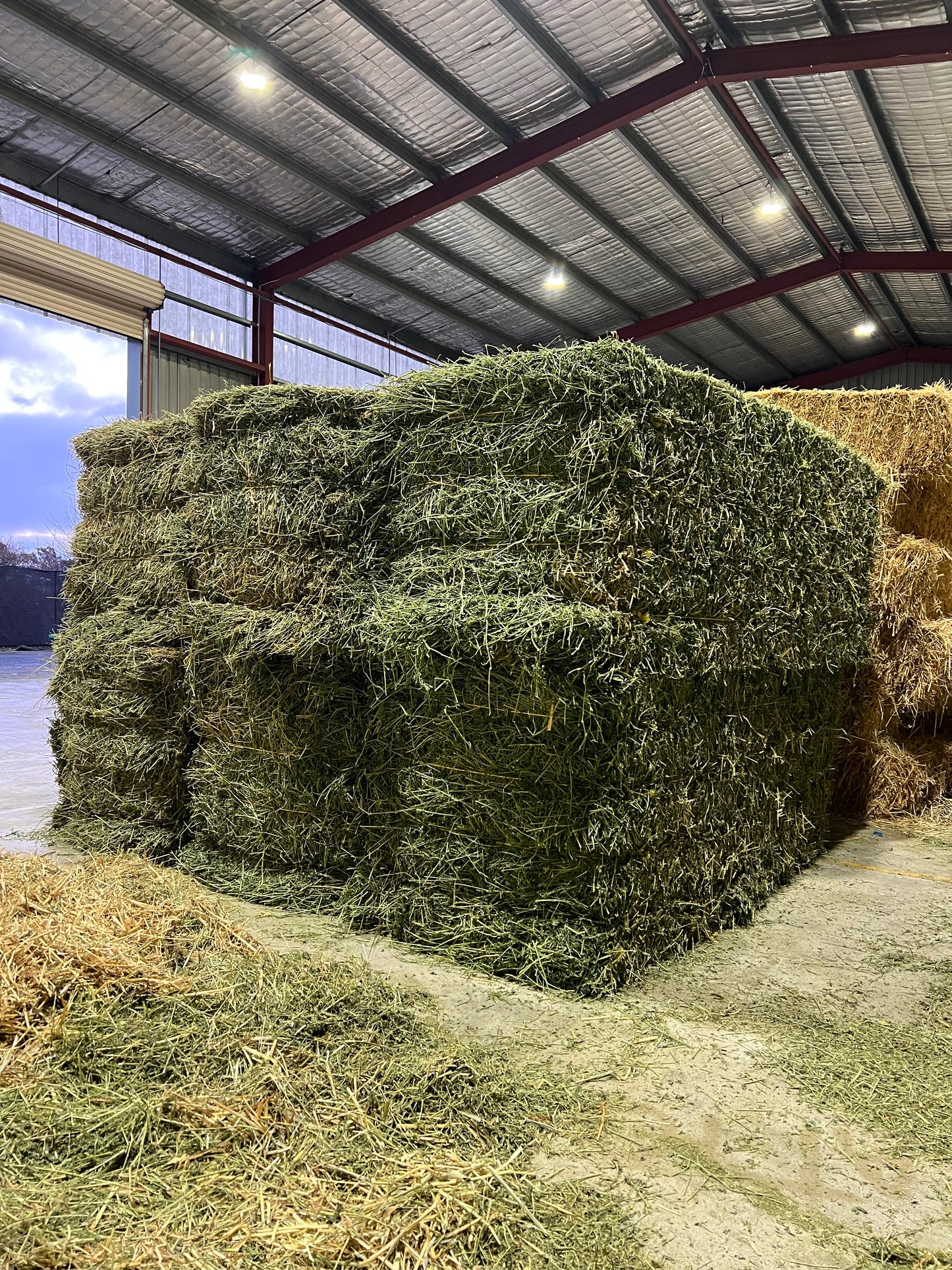 PRIME Lucerne  8x3x3 Fresh and Soft heaps of leaf
