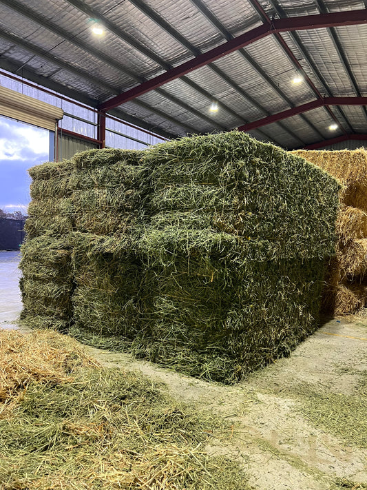 PRIME Lucerne  8x3x3 Fresh and Soft heaps of leaf