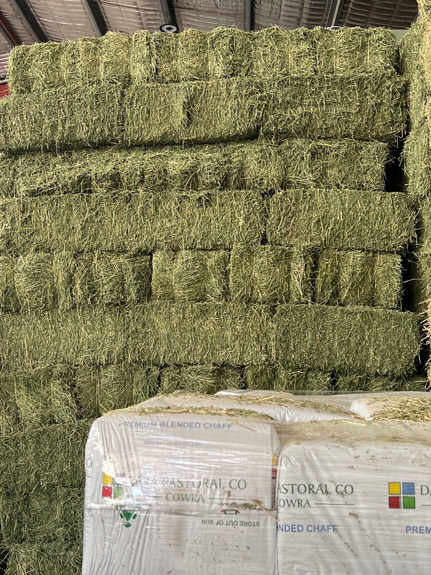 Prime Lucerne Race Horse QLTY just baled