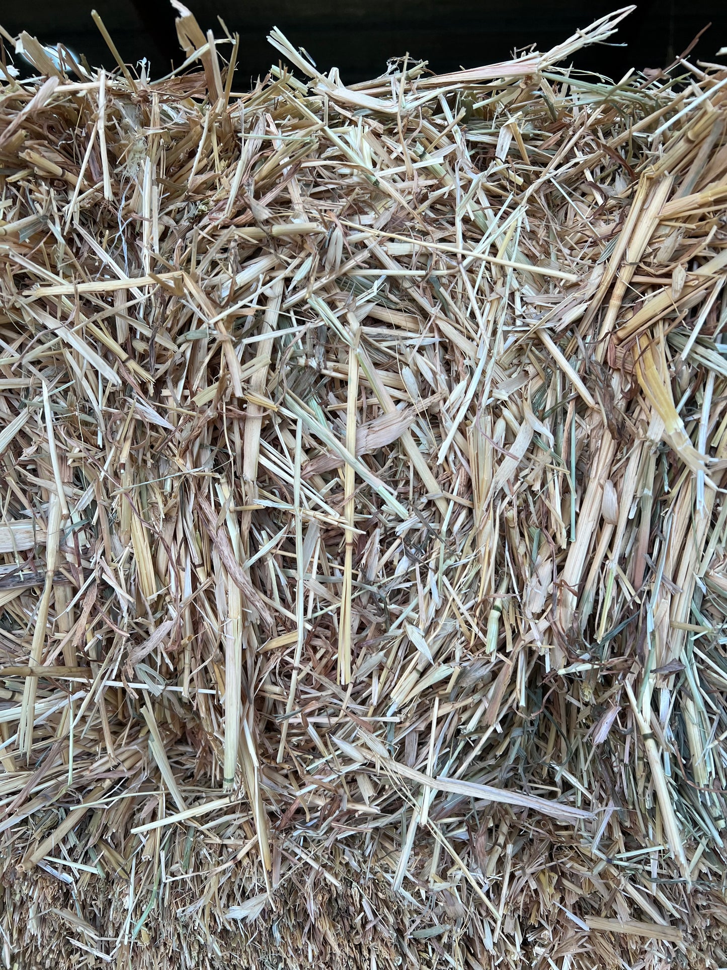2nd grade Oaten Hay (with a little rye)