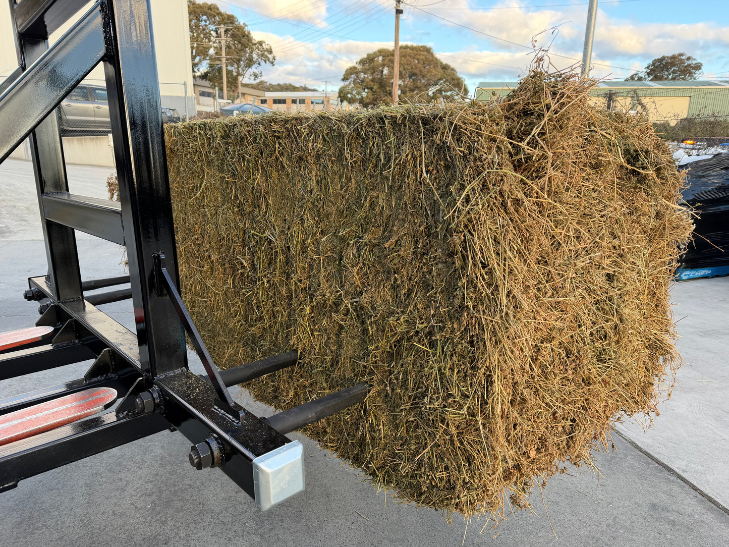 2nd Grade Lucerne 8x3x3 Large Squares Back in Stock