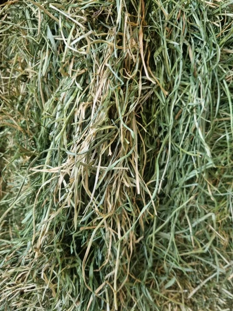 Rye/ meadow Grass Hay