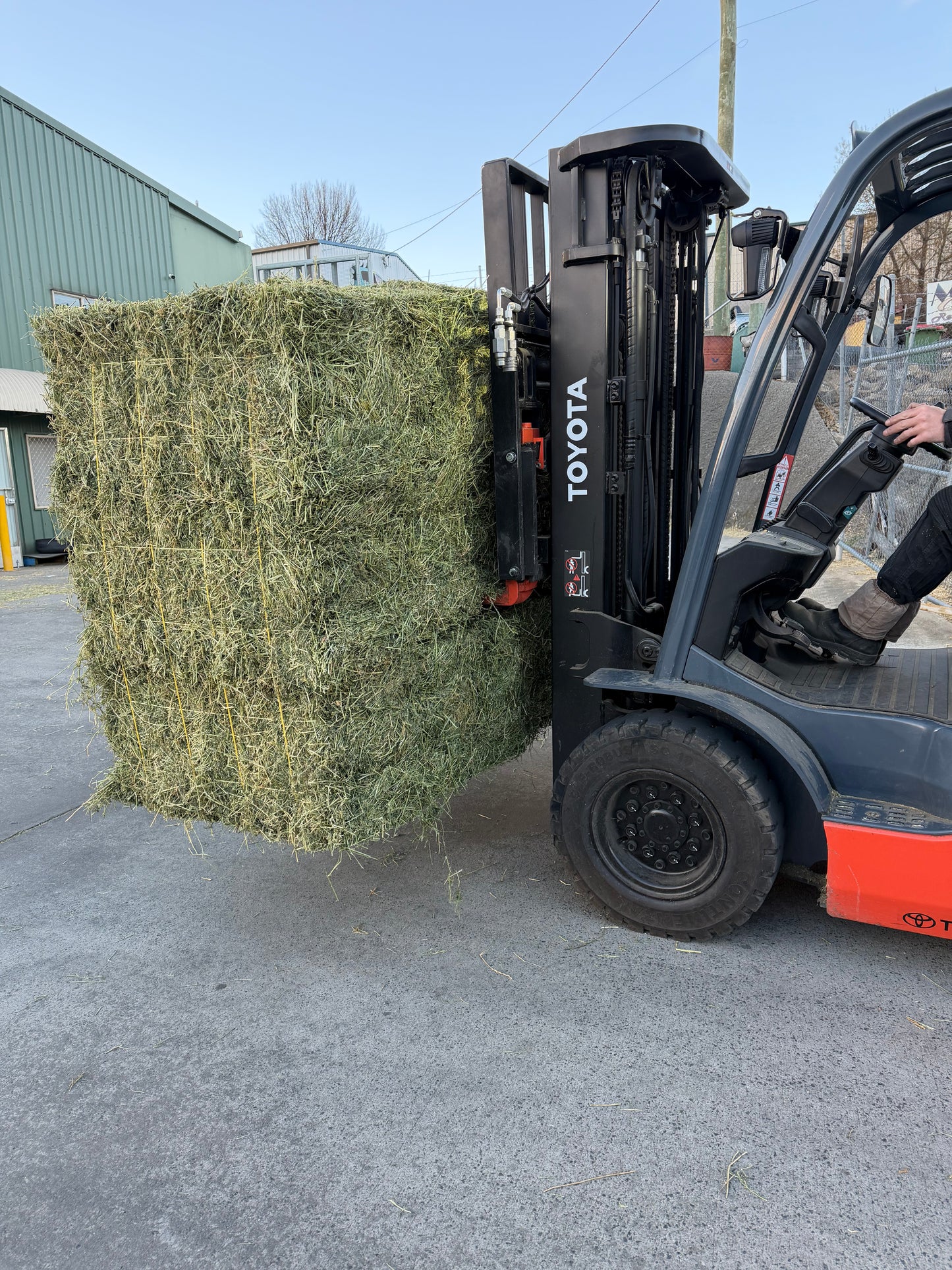 Lucerne hay