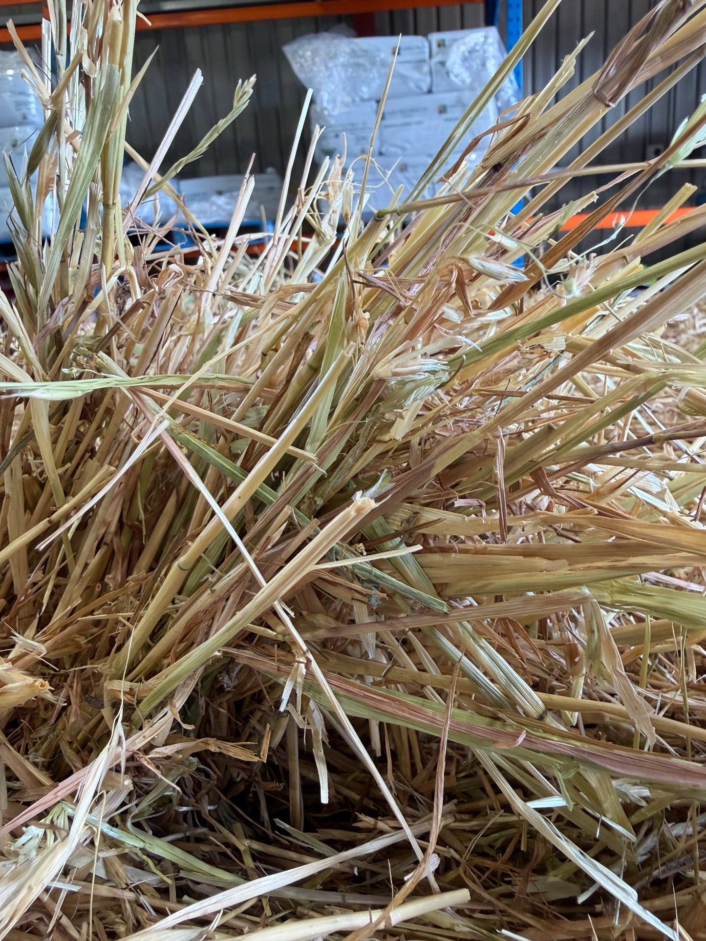 Pasture Round Bale - Pick up