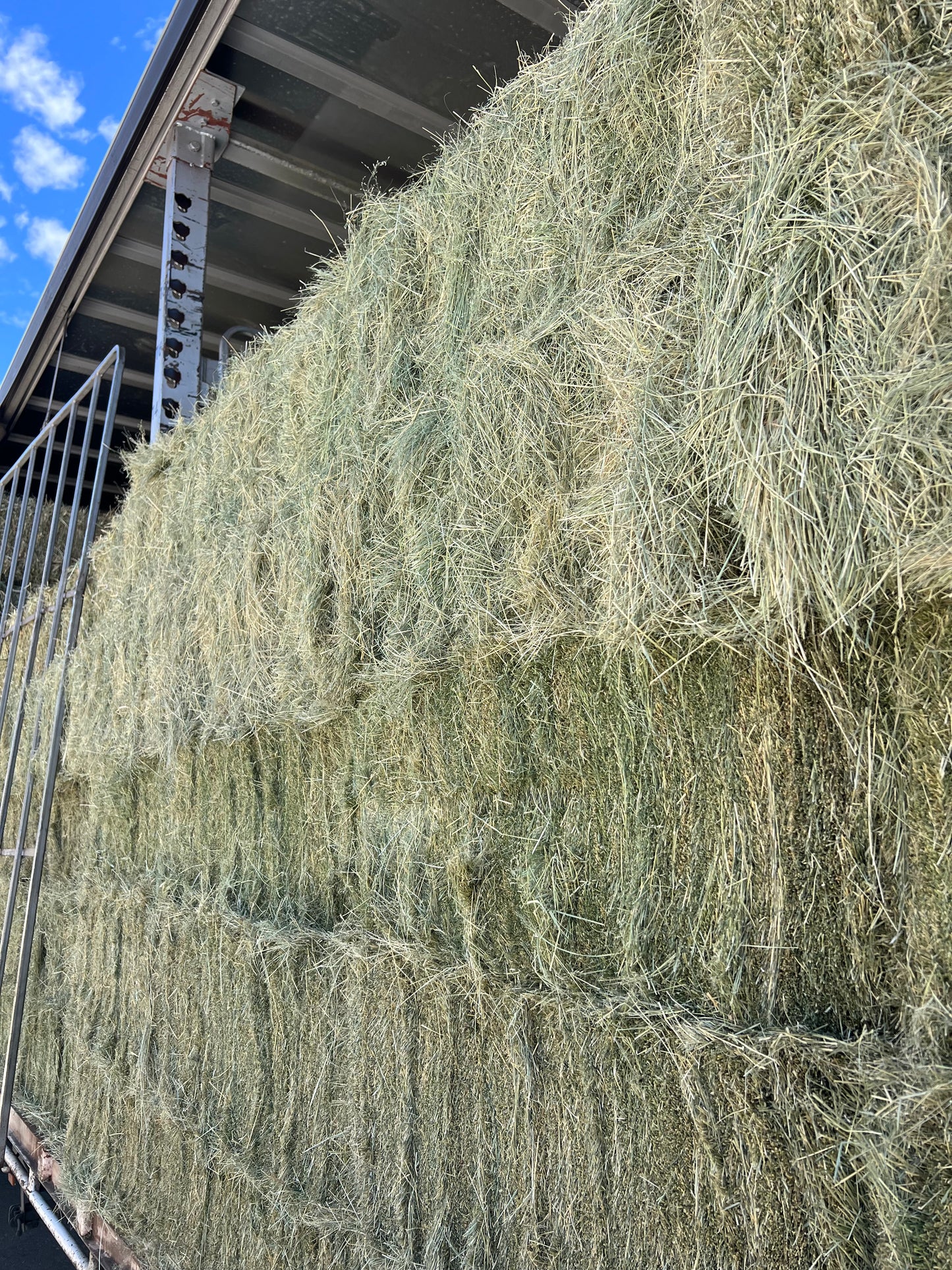 Teff Hay - PICK UP ONLY