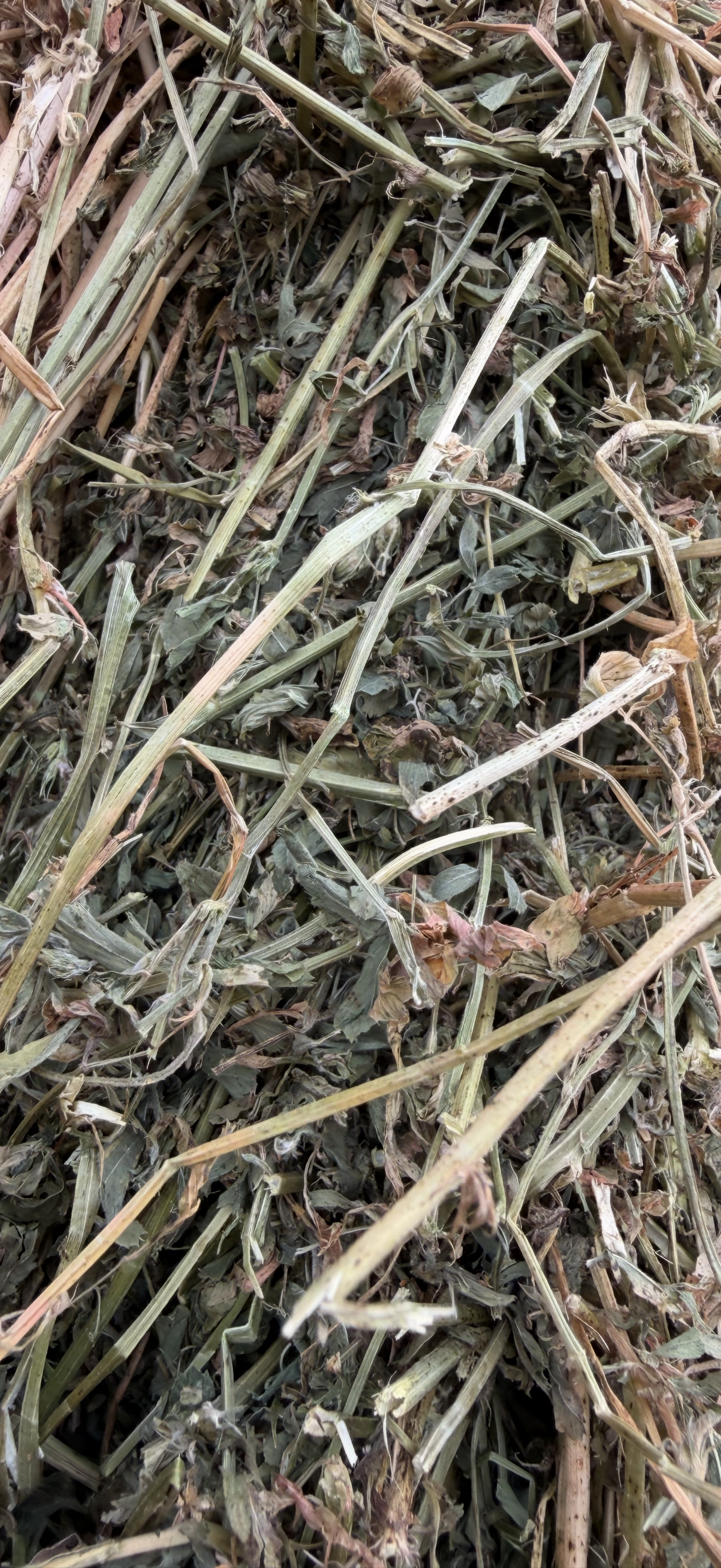 2nd Grade Lucerne 8x3x3 Large Squares Back in Stock