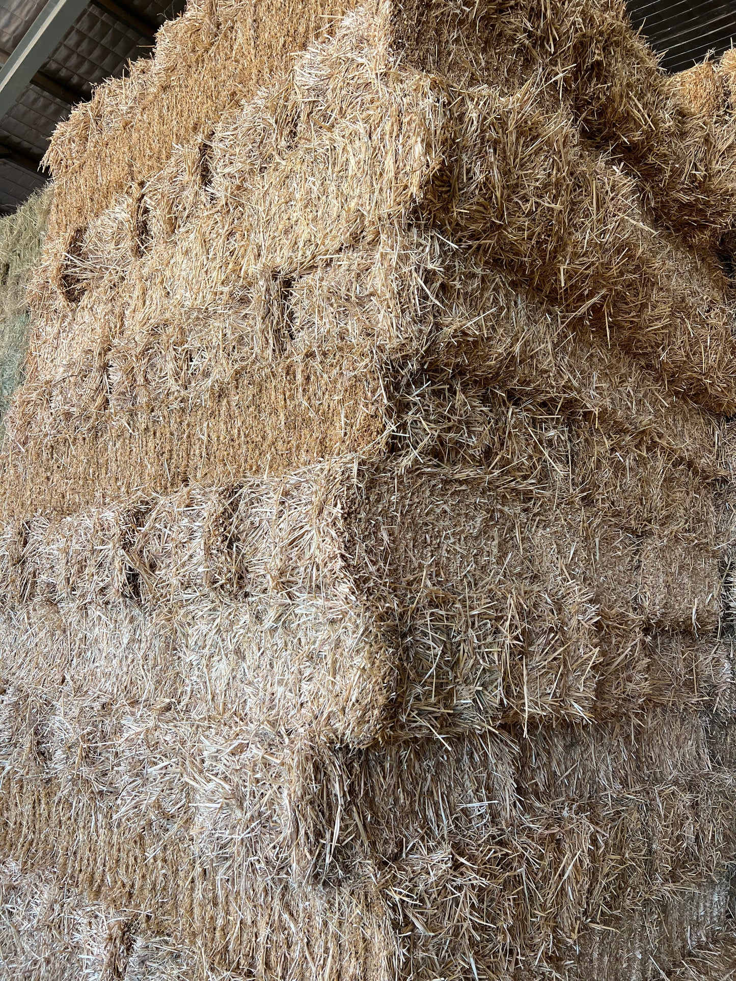 2nd grade Oaten Hay (with a little rye)