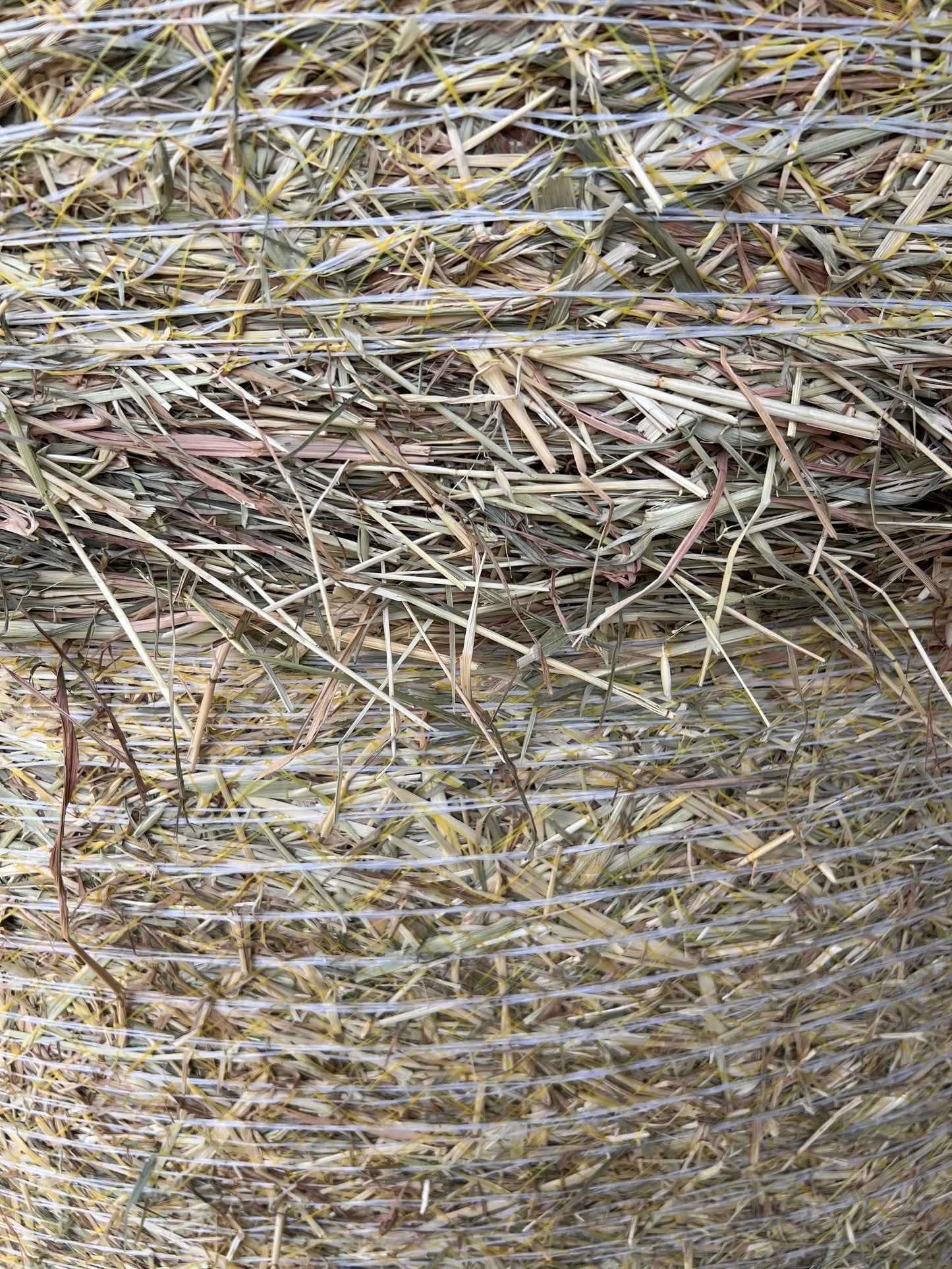 Oaten Round Bales