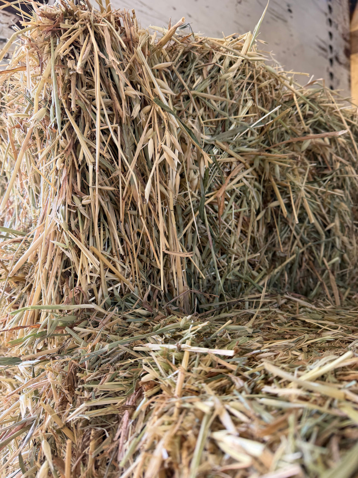Rye/ Oaten Hay New Season