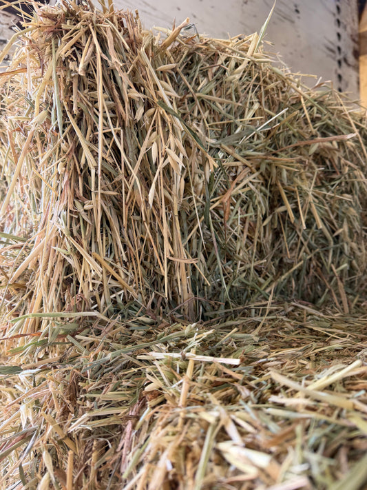 Rye/ Oaten Hay New Season