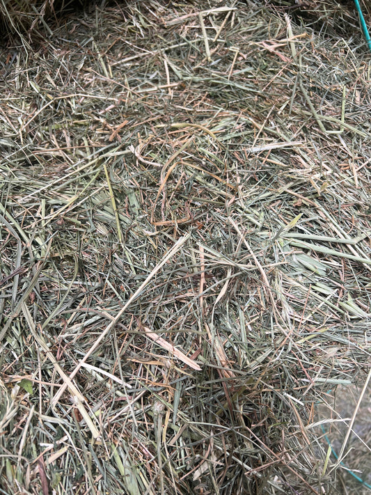 Meadow Hay (New Season)