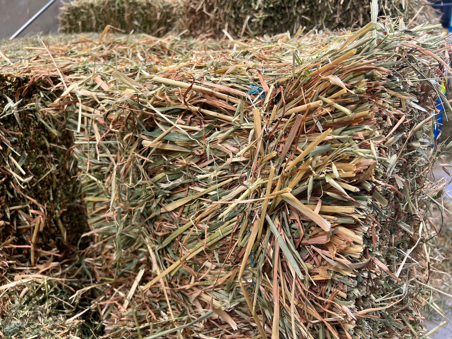 Oaten Hay (New Season)