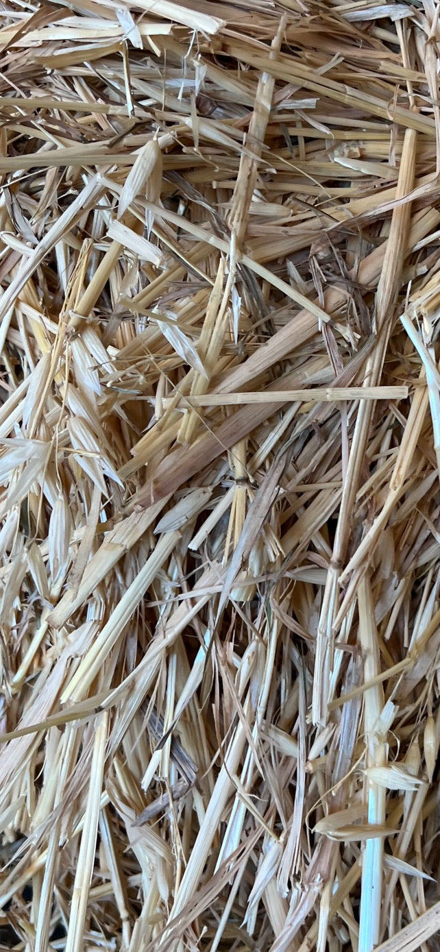2nd grade Oaten Hay (with a little rye)
