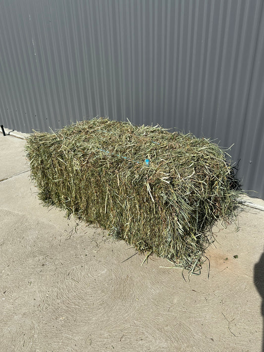 Meadow Hay