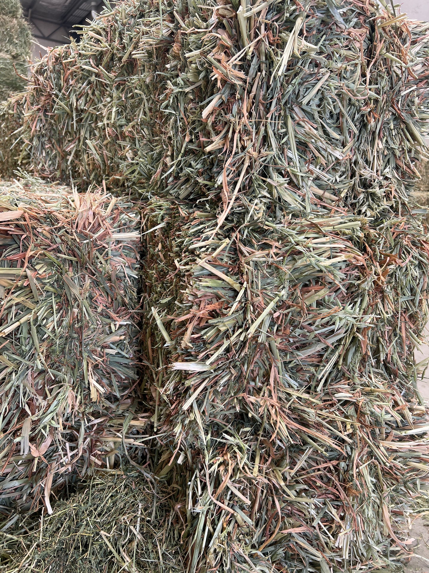 Oaten Hay (New Season)