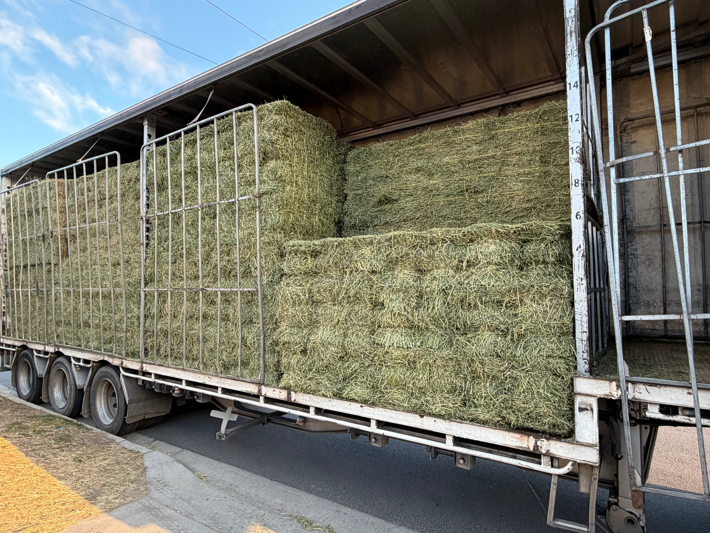 Lucerne hay