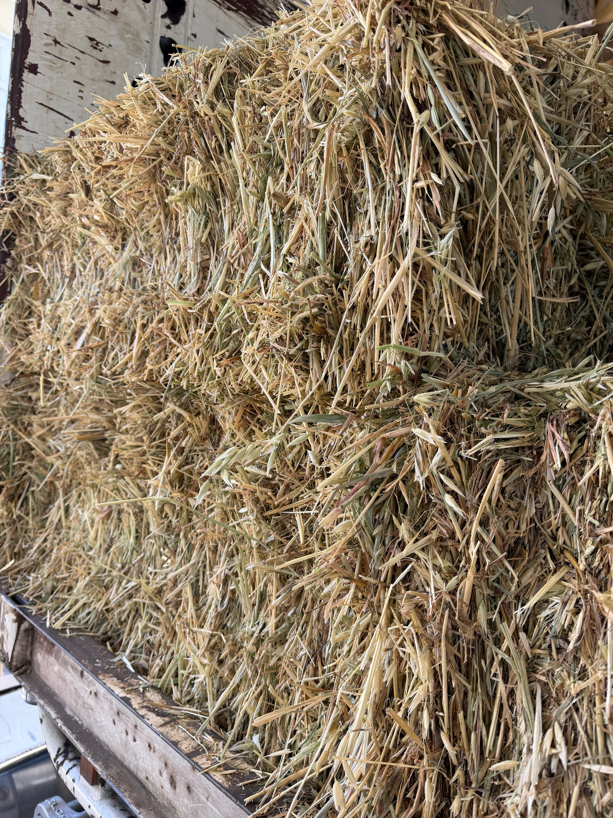 Rye/ Oaten Hay New Season
