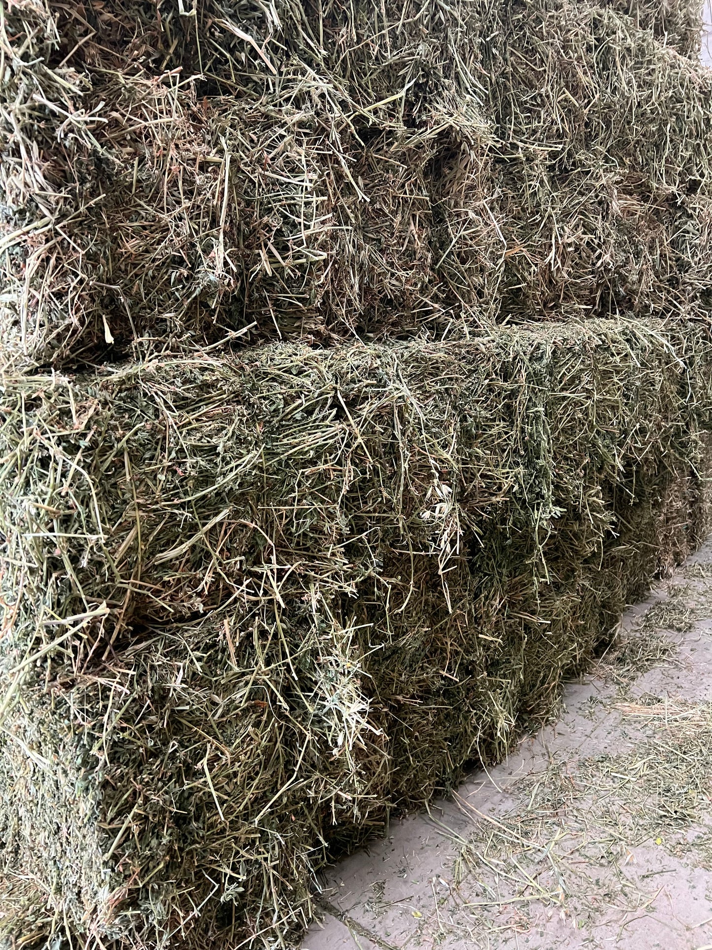 2nd grade Lucerne hay