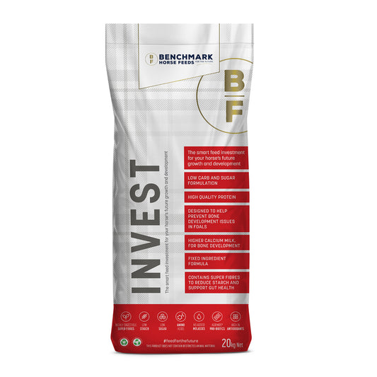 Benchmark Invest