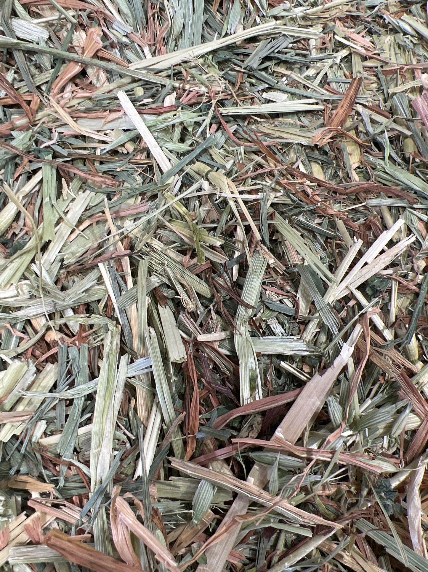 Oaten Hay (New Season)