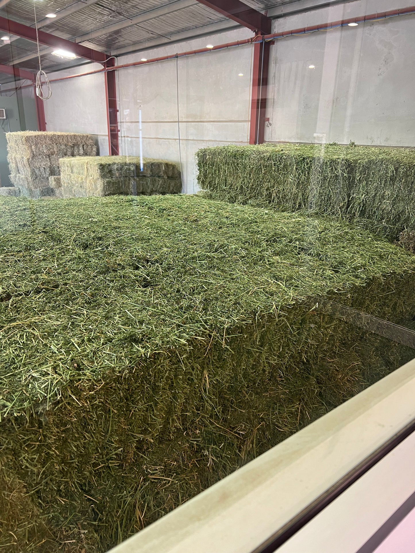 Prime Lucerne Hay