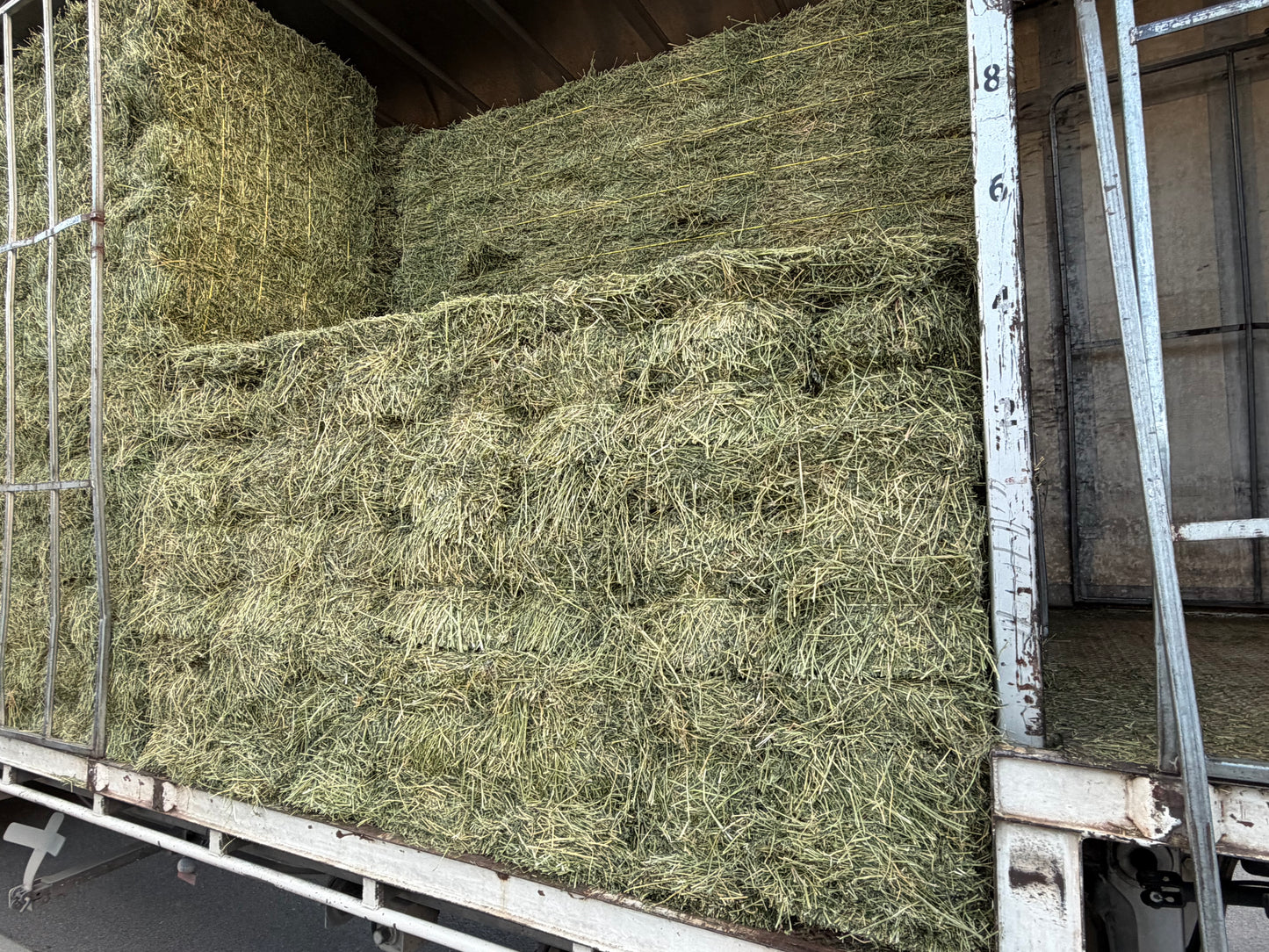 Lucerne hay