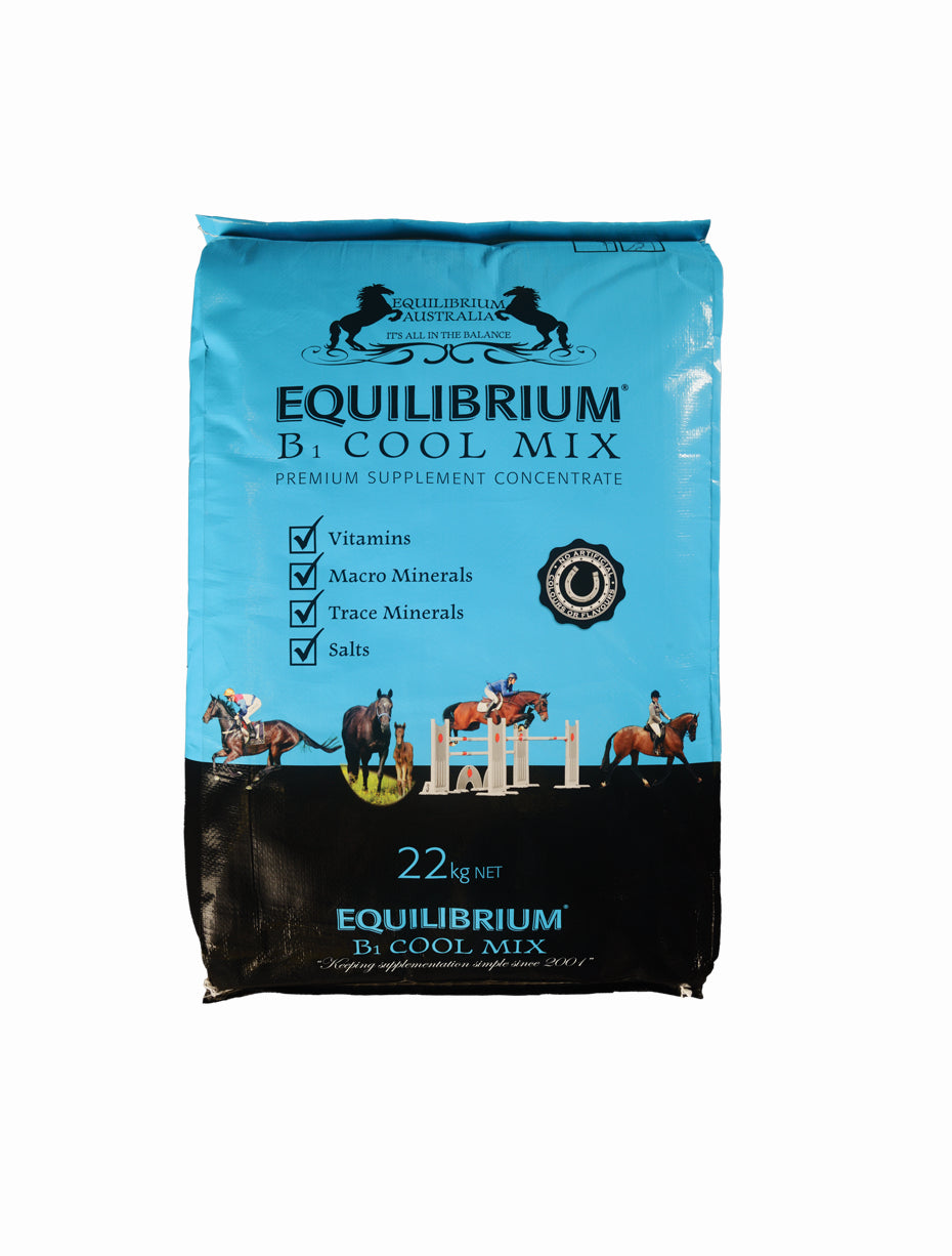 Equilibrium B1 Cool Mix