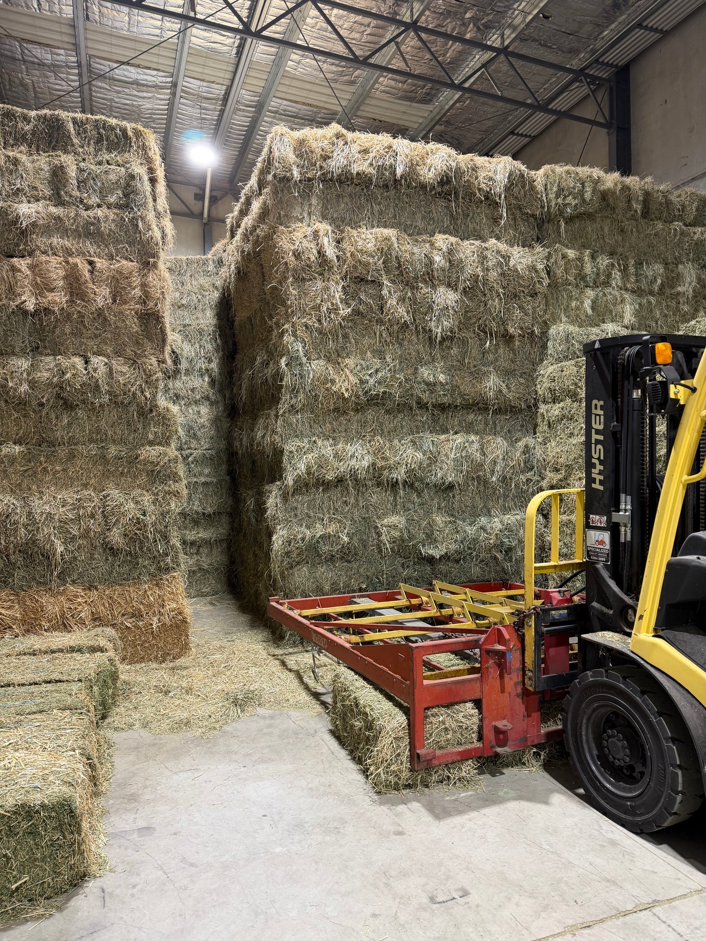 Rhodes Hay - Prime (Low Sugar Tested)