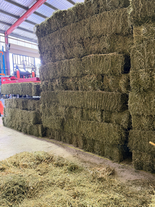 Lucerne Hay (New Season)