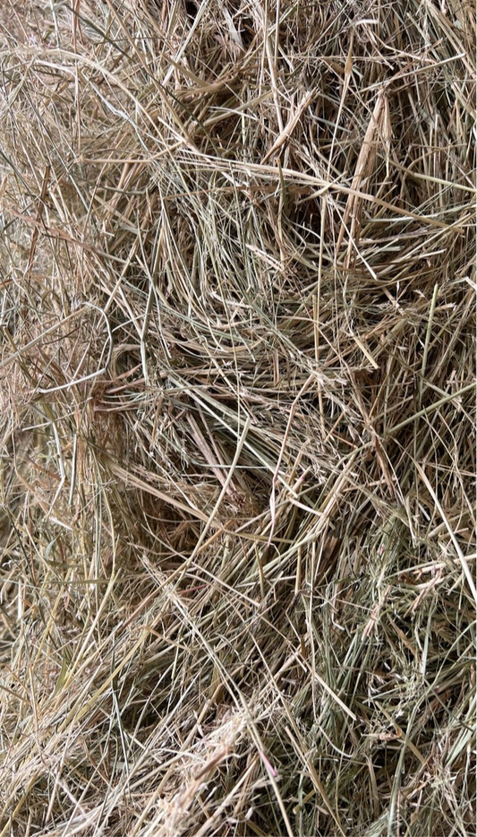 Teff Round Bales 4x4 - Large- Limited stock (delivered)