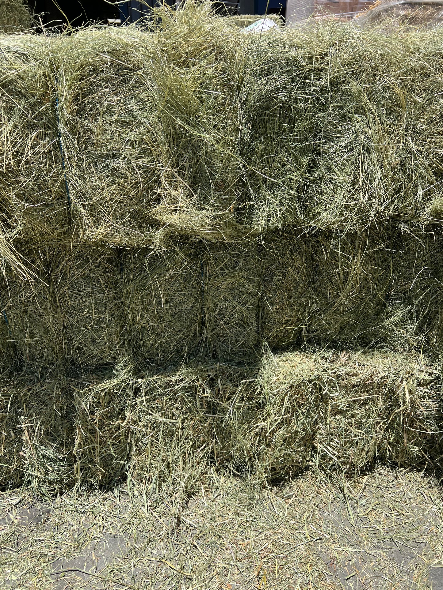 Teff Hay - PICK UP ONLY