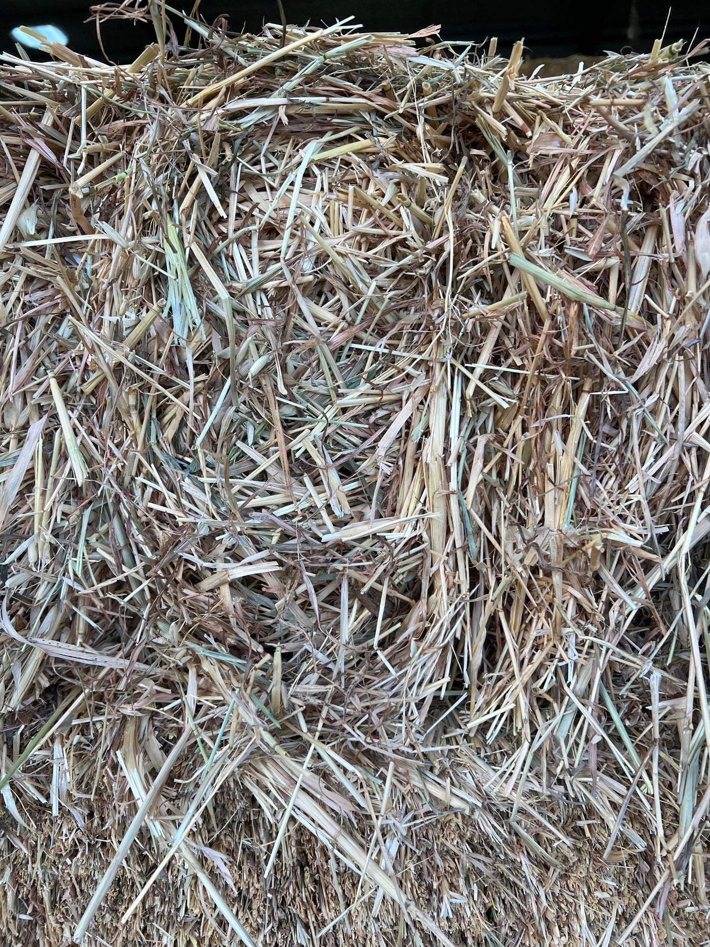 2nd grade Oaten Hay (with a little rye)