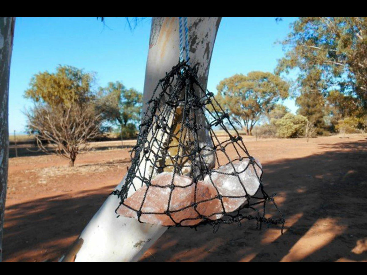 Gutzbuster Lick Net (only)