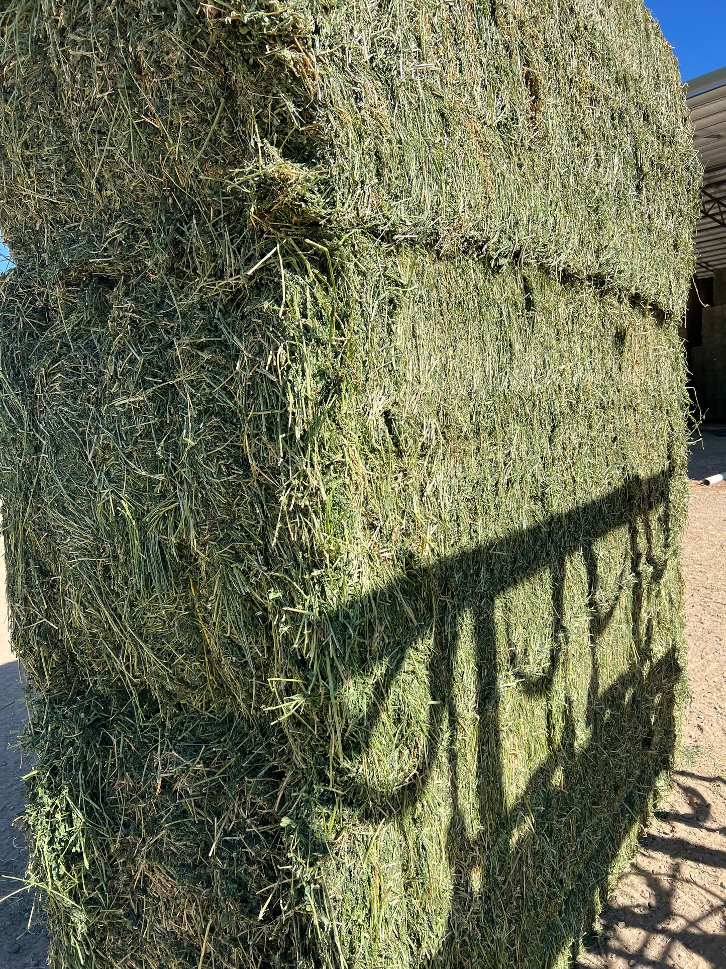 PRIME Lucerne  8x3x3 Fresh and Soft heaps of leaf