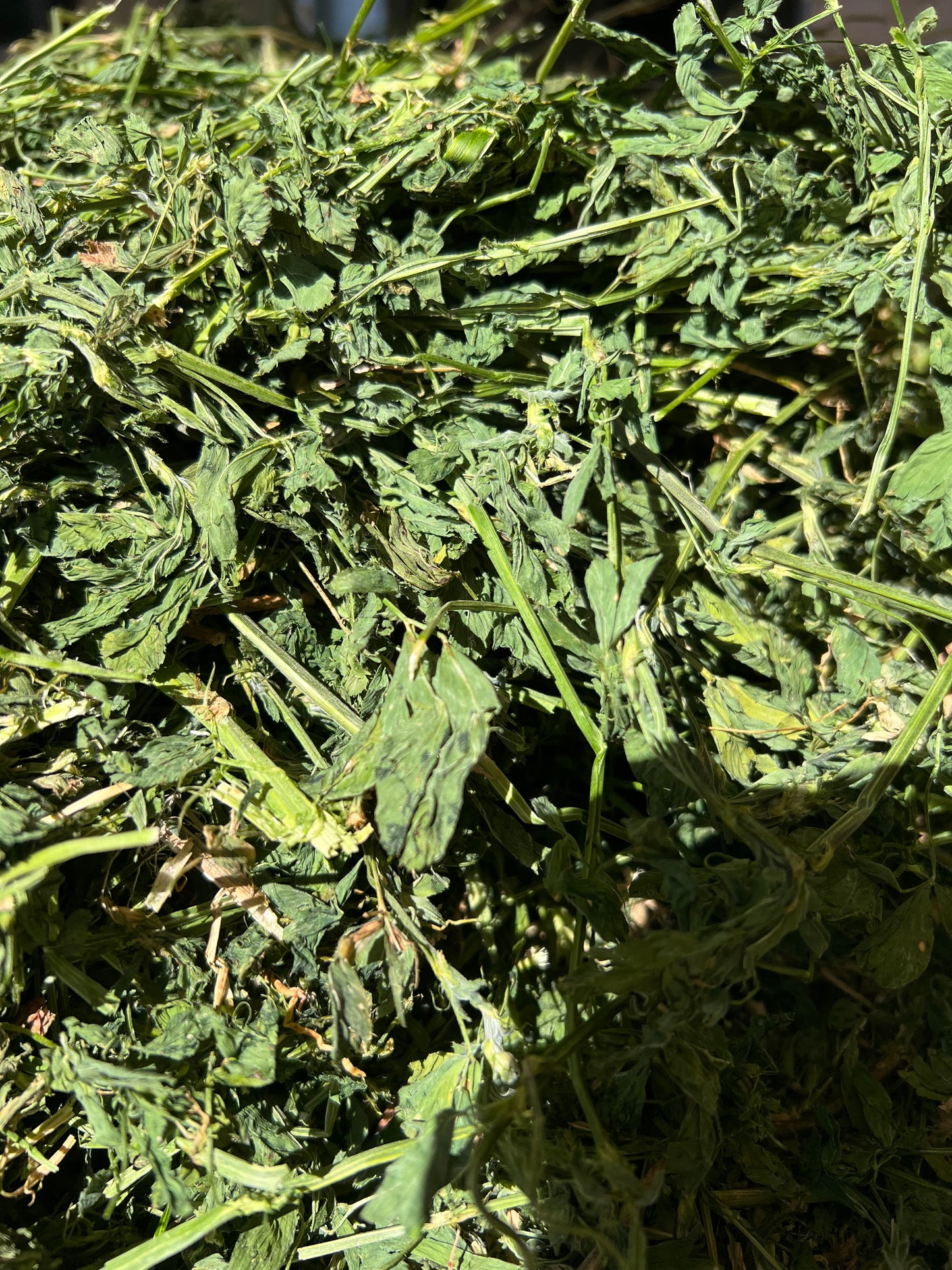 PRIME Lucerne  8x3x3 Fresh and Soft heaps of leaf