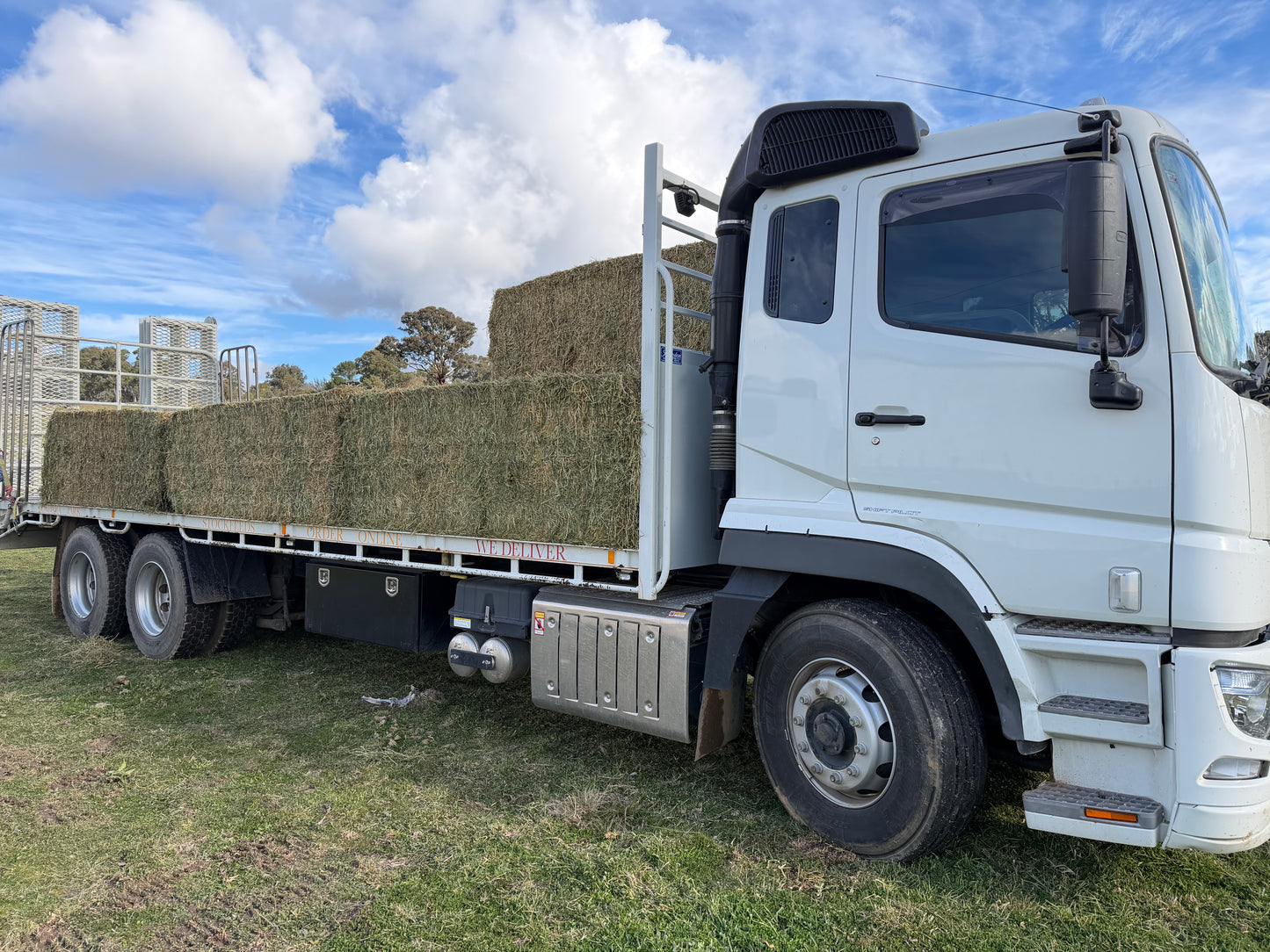 Lucerne  8x3x3
