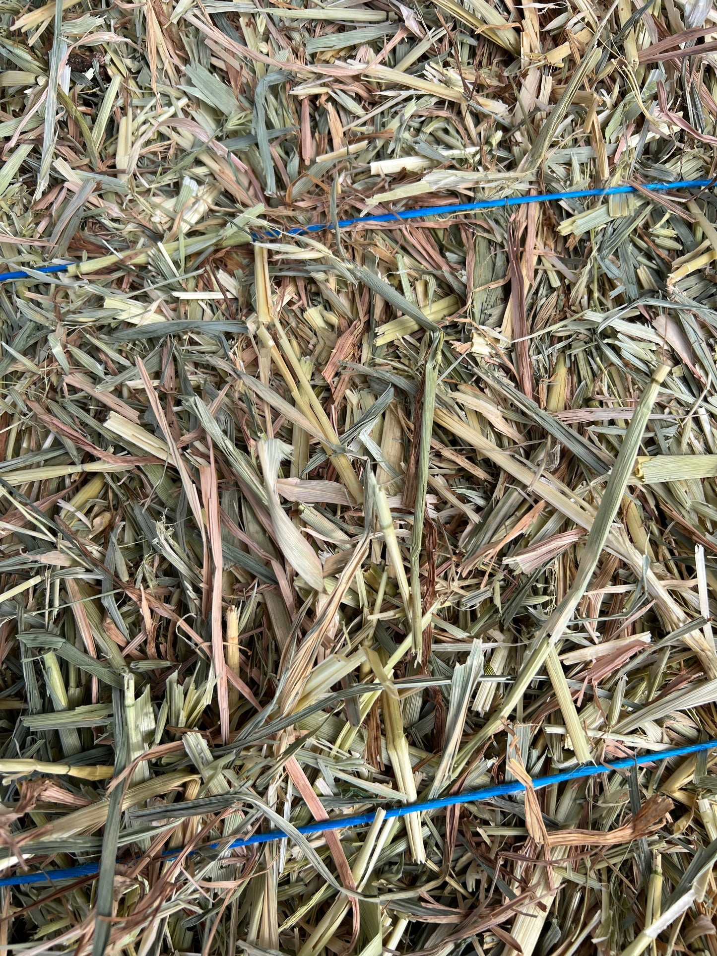 Wheaten Hay