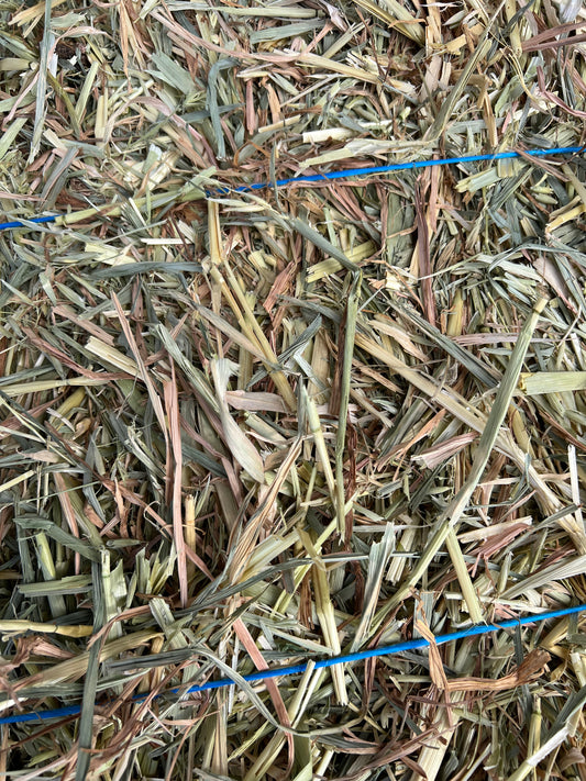 Wheaten Hay