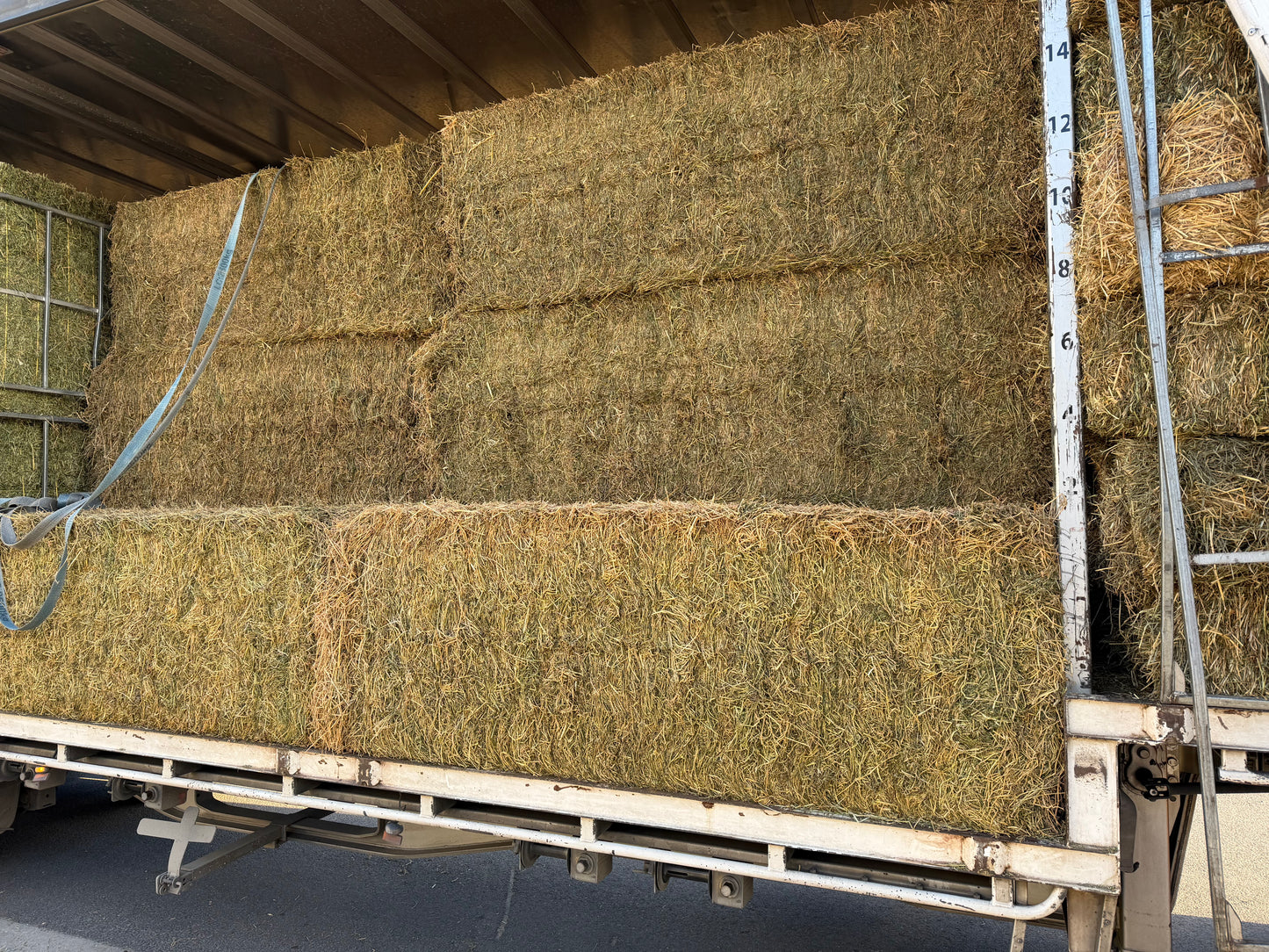 2nd Grade Lucerne 8x3x3 Large Squares Back in Stock